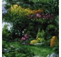 PARK LANDSCAPE