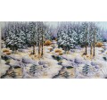 SNOWY WOODS