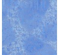 Fairy Frost