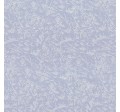 FAIRY FROST