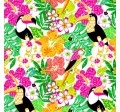 TOUCAN TROPICS
