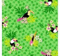 TOCO TOUCAN