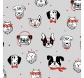 PUSH PUPS