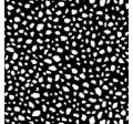 HAPPY SPOTS