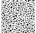 HAPPY SPOTS