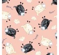 BAA...BAA...