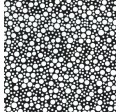 PLAY DOT