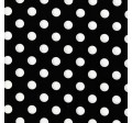 QUARTER DOT