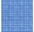 GINGHAM PLAY