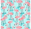 FLAMINGO BAY