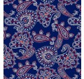 BANDANA ALLOVER