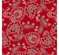 BANDANA ALLOVER