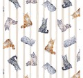 CRAFTY CATS