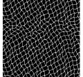 NETWORK