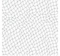NETWORK