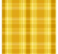 SHINE BRIGHT PLAID