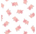 MINI PIG