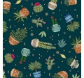 CACTUS PLANTS
