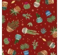 CACTUS PLANTS