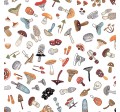 WILD FUNGI- NOT FOR PURCHASE BY MANUFACTURERS