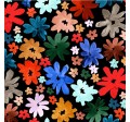 WILD DAISY