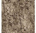 TREE BARK
