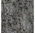 TREE BARK