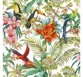 RAINFOREST HABITAT