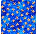 STARS OF THE OCEAN