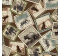 WILD PICTURES
