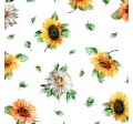 SUNFLOWER SPLENDOR