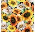 SUNFLOWER GARDEN