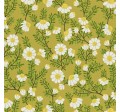 CHAMOMILE