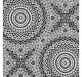 SPIRALS