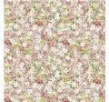 PETITE PRINCESS - NOT FOR PURCHASE BY MANUFACTURERS