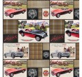 AUSTIN HEALEY PATCH