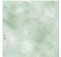 FAIRY WING TEXTURE