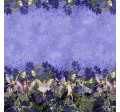 NIGHT FAIRIES BORDER