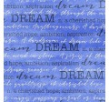 DREAM ON MINKY