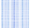 CROSSHATCH PLAID ON MINKY