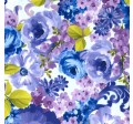 FANTASY BLOOM on MINKY
