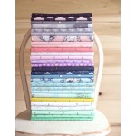 Believe Bundle 