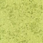 COLOR: AVOCADO