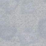 COLOR: PLATINUM