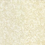 Fairy Frost