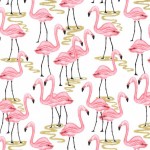 FLAMINGO BAY