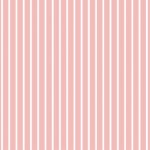 DELICATE STRIPE