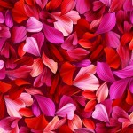 PETAL WHIMSY