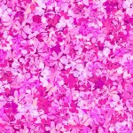 PETITE BLOSSOMS