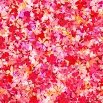 PETITE BLOSSOMS